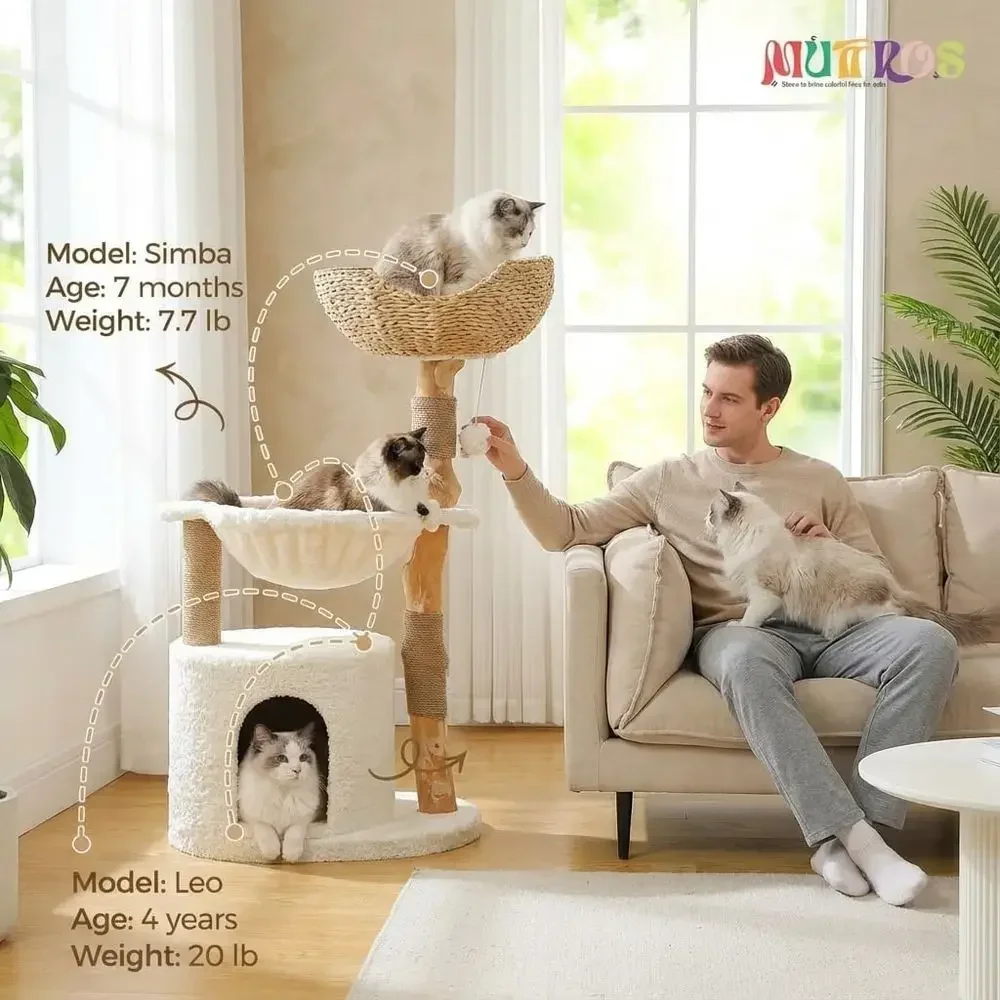 Pohon Kucing Besar dan Nyaman  - Cat Scratching Post ulasan dan harga