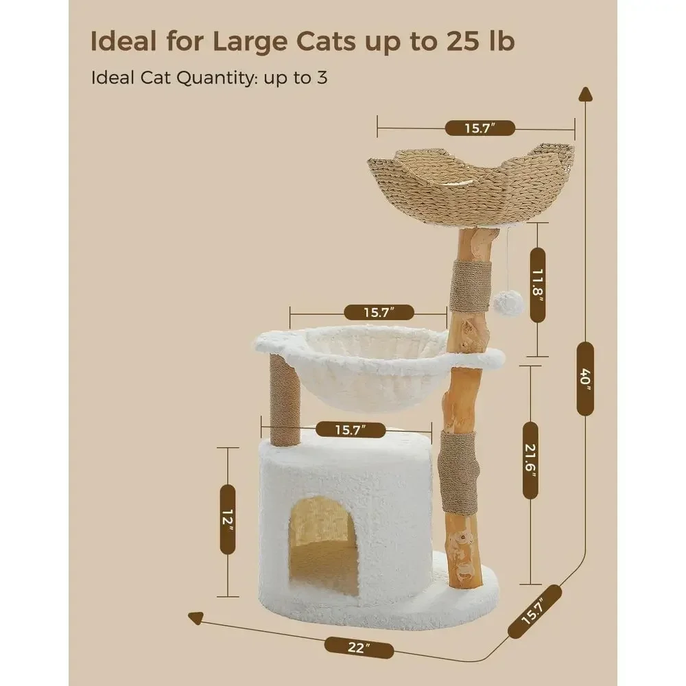 Pohon Kucing Besar dan Nyaman  - Cat Scratching Post ulasan dan harga