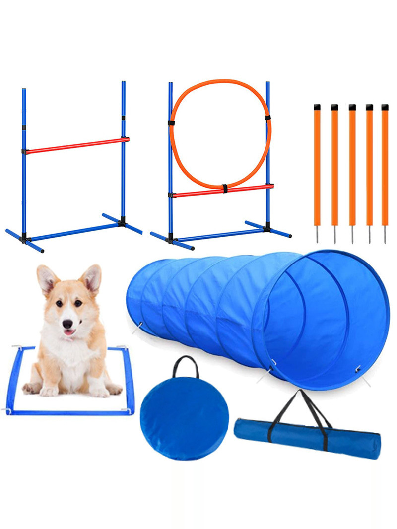Perlengkapan Kompetisi Latihan - Pet Supplies In ulasan dan harga
