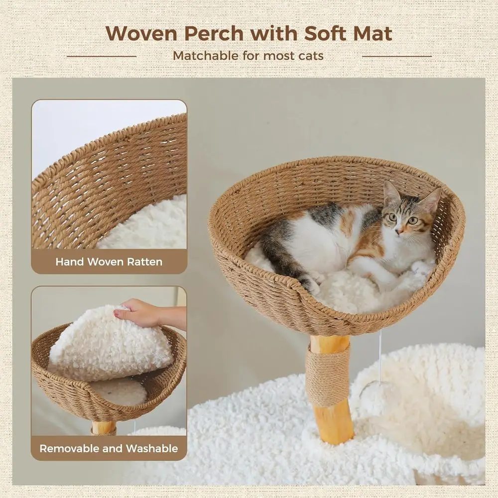 Menara Kucing Kayu Solid Tingg - Cat Scratching Post ulasan dan harga